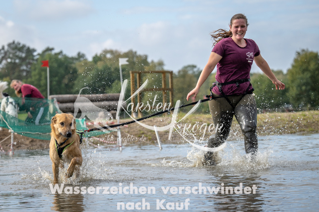 1231_ZZ92637 | kk-dogfotos