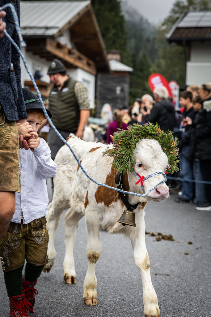 Rupertifest_Flachau_2k25_Webauflösung-188 | Bildershop Chri Fischbacher - Realisiert mit Pictrs.com