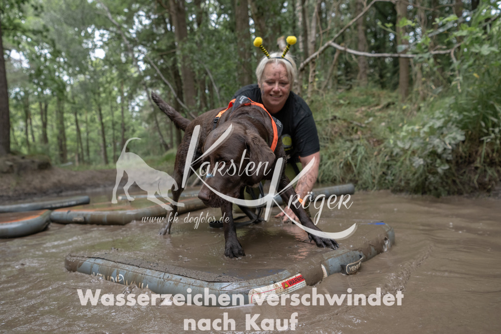 1340_ZZ95395 | kk-dogfotos