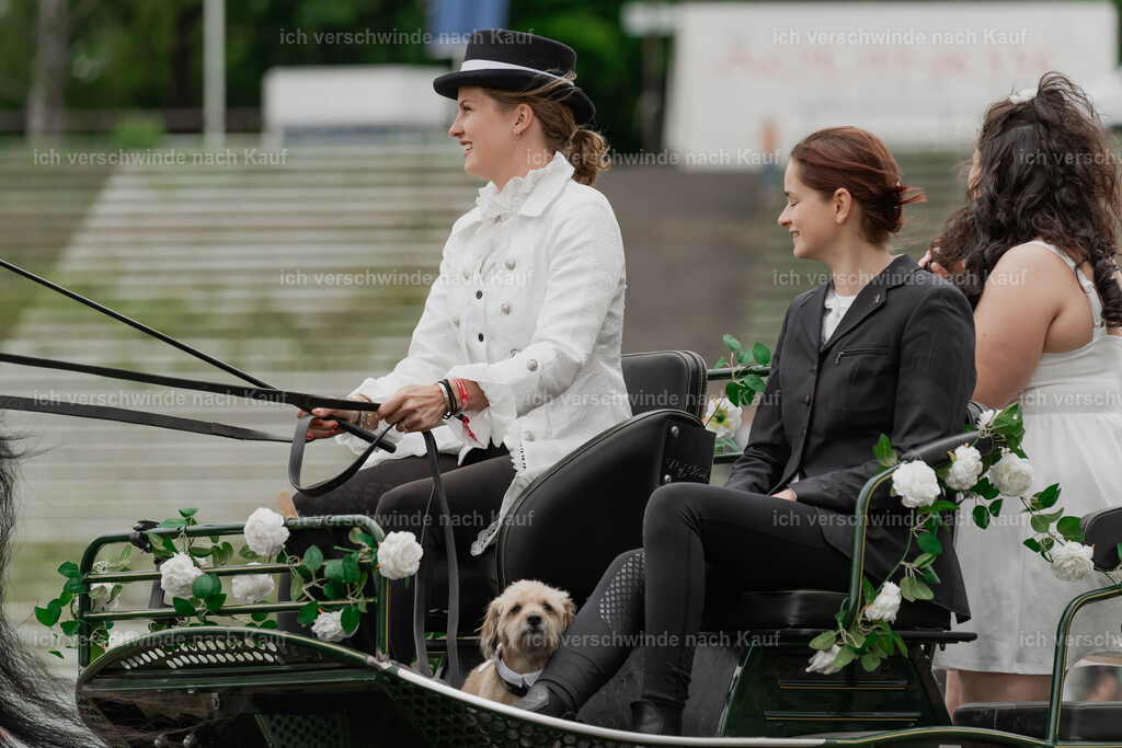 Showprogramm-304 | working equitationturnier fotograf videograf stoibphotography marixx film working equitation deutschland reitsport turnierfotografie eventfotografie equestrian events