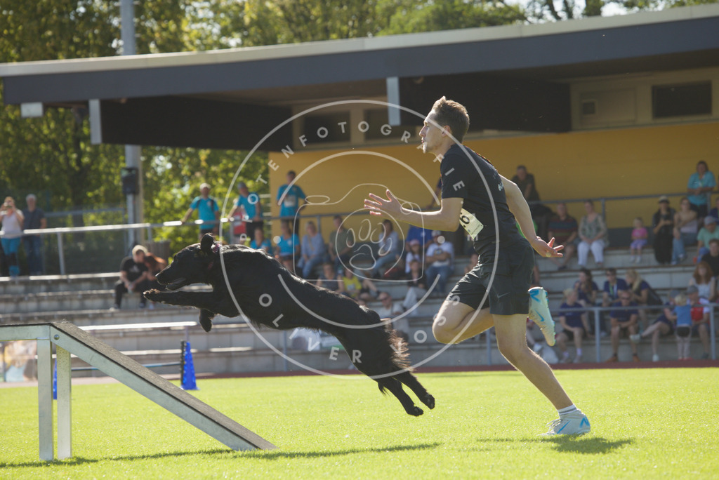 0L8A8696 | Hundefotografie, Tierfotograf, Pfotenfotografie, Fotoshooting Hund, Hunde Portrait, Hundesport, Hundeportraits, Heideshooting, Hunde, Sportfotograf, Hundefotograf, Turnierhundsport, THS,  - Realisiert mit Pictrs.com