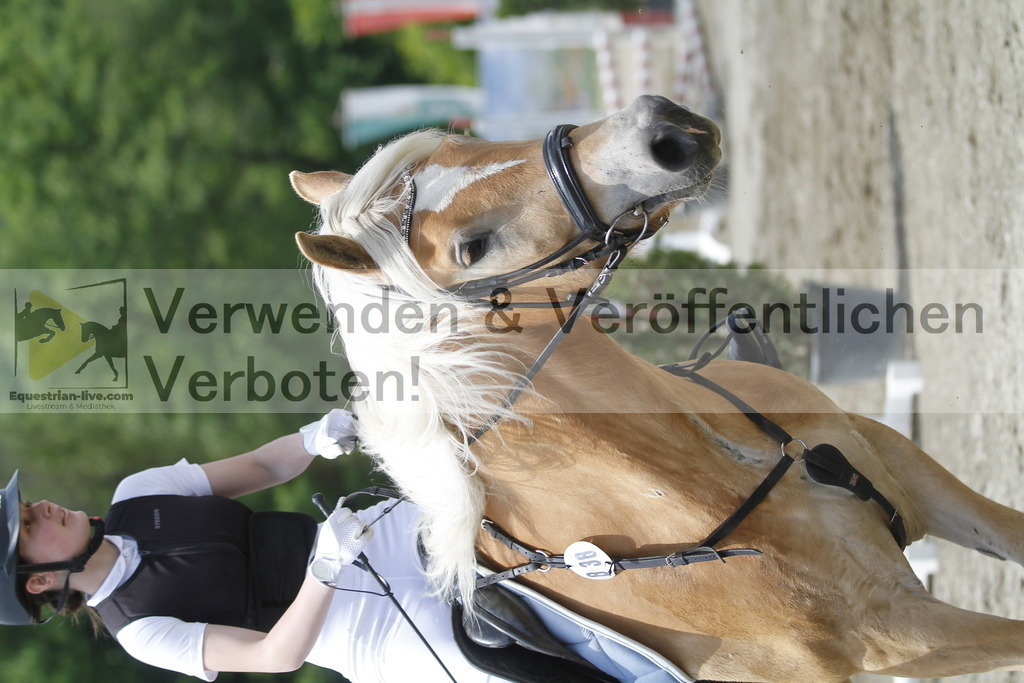 _MG_5349 | equestrian-live-com