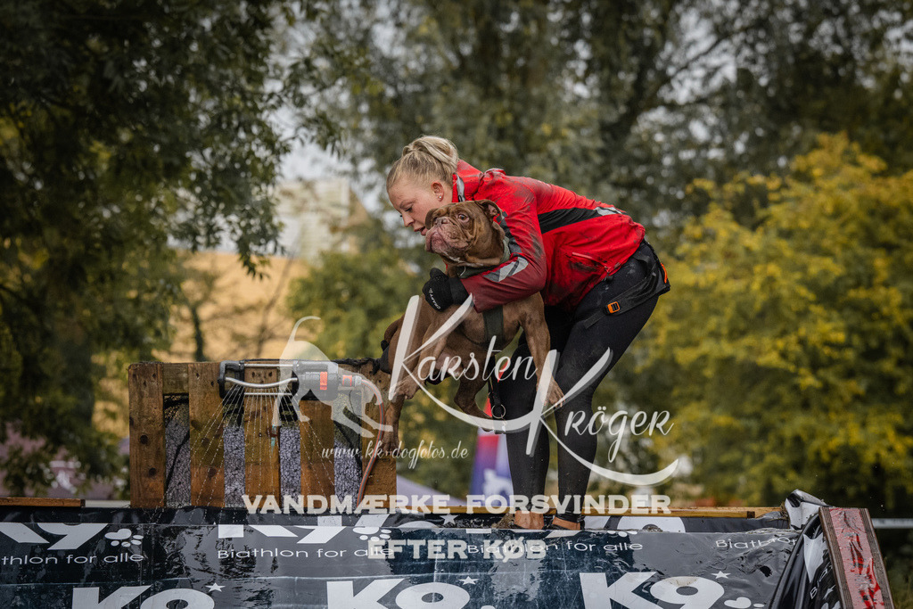 1208_ZZ94440 | kk-dogfotos