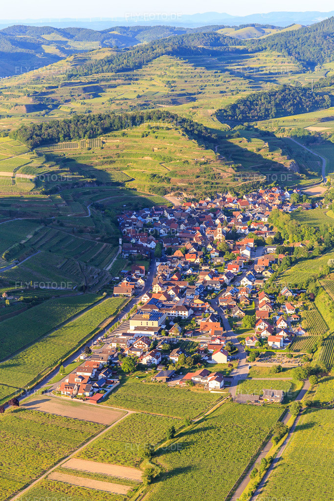 Luftbild: Winzerdorf im Kaiserstuhl aus Südwesten im Ortsteil Achkarren in Vogtsburg im Bundesland Baden-Württemberg in Deutschland. Foto: IMG_147866.jpg vom 30.05.2025 durch Werner Riehm/FLY-FOTO.de