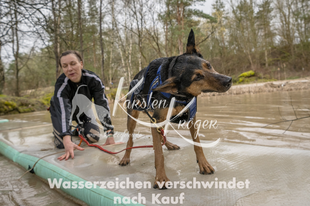 1328_ZZ90609-Bearbeitet | kk-dogfotos