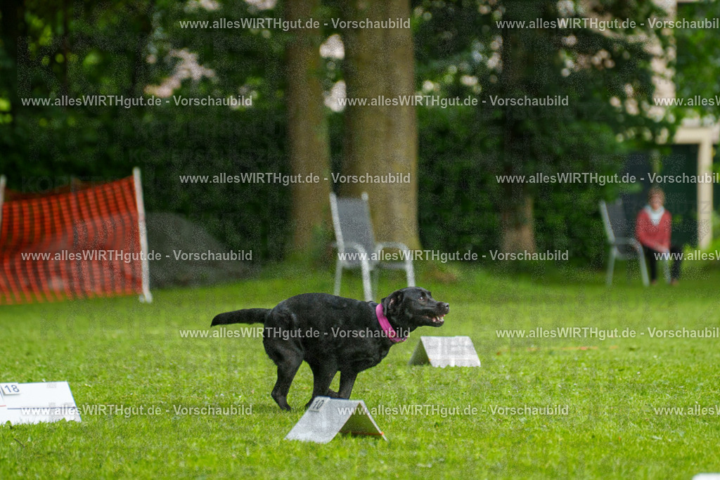 @allesWIRTHgut_Tierfotografie - www.allesWIRTHgut.de - 7R503186 | Professionelle Tierfotografie in Mönchengladbach von Daniel Wirth (allesWIRTHgut). Liebevolle & natürliche Bilder von Hunden & Katzen für unvergessliche Erinnerungen.