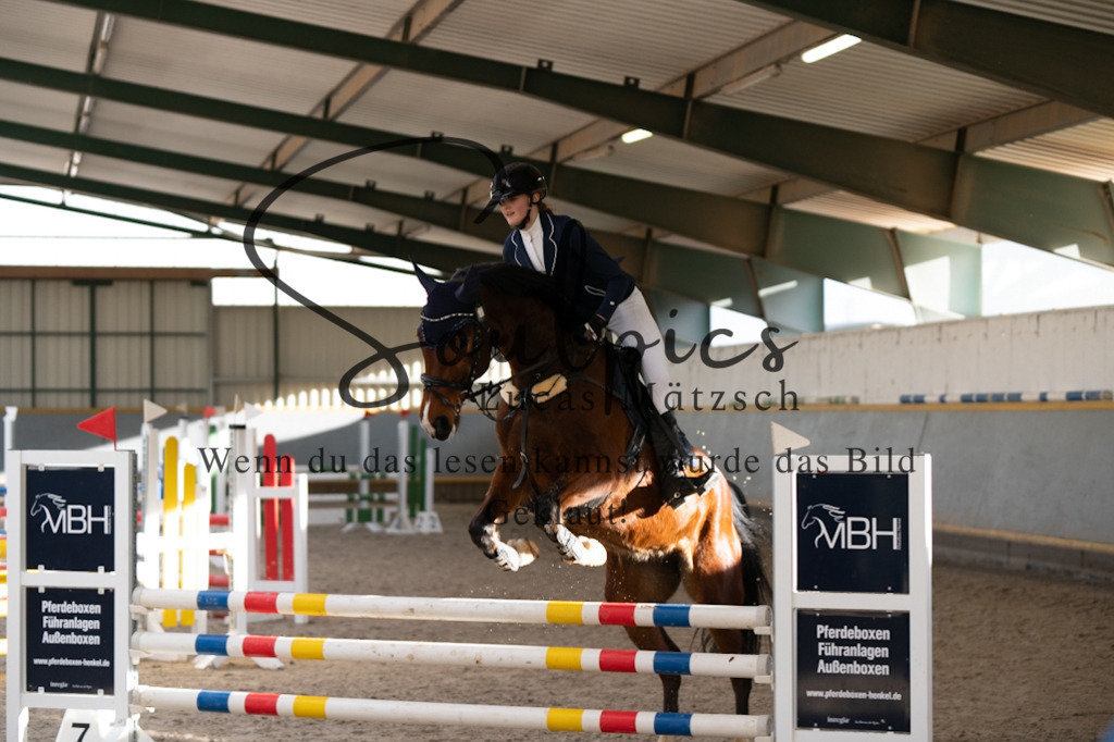 A7V02592 | Pferdefotograf