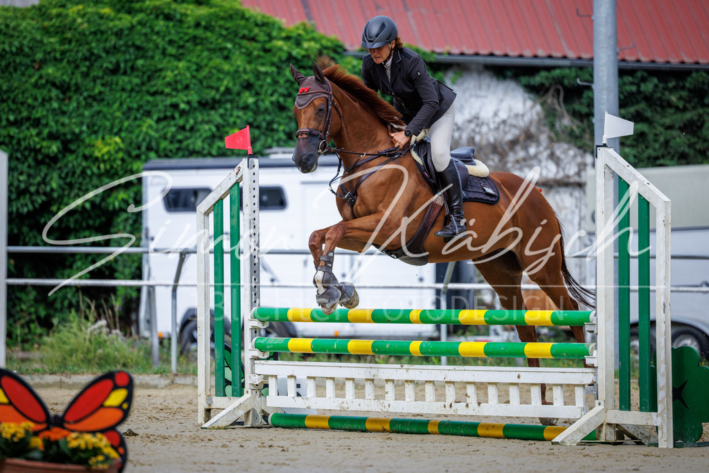 20260705-_3LI3836 | Tierfotografie Pferde, Hunde, Katzen, Haustiere.
Turnierfotografie Reitturniere, Reiten, Springreiten, Dressur in Hanau, dem Main-Kinzig-Kreis und dem Rhein-Main- Gebiet um Frankfurt