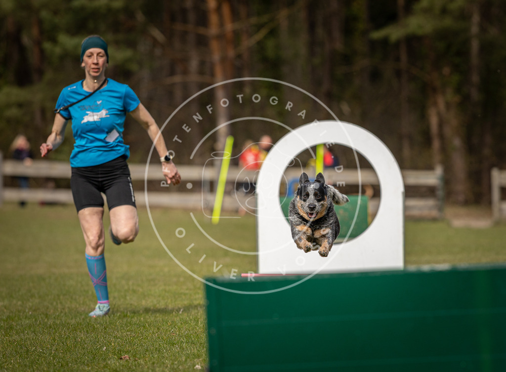 Pfotenfotografie_DV3A8587 | Hundefotografie, Tierfotograf, Pfotenfotografie, Fotoshooting Hund, Hunde Portrait, Hundesport, Hundeportraits, Heideshooting, Hunde, Sportfotograf, Hundefotograf, Turnierhundsport, THS,  - Realisiert mit Pictrs.com