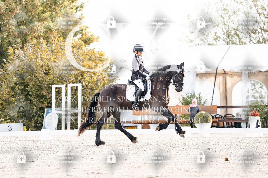 CK900296 | Turnierfotografie Pferdefotografie Trier Rheinland-Pfalz Pferdesport Reitsport Tierfotografie Sportfotografie Pferdevideo Pferdevideografie Equestrianvideography equestrianphotography  - Realisiert mit Pictrs.com