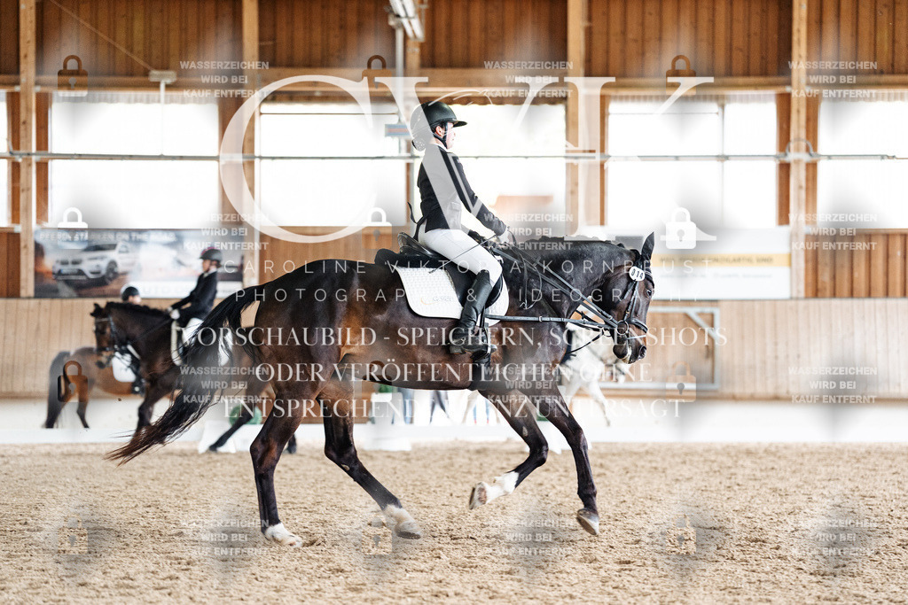 CK901350 | Turnierfotografie Pferdefotografie Trier Rheinland-Pfalz Pferdesport Reitsport Tierfotografie Sportfotografie Pferdevideo Pferdevideografie Equestrianvideography equestrianphotography  - Realisiert mit Pictrs.com