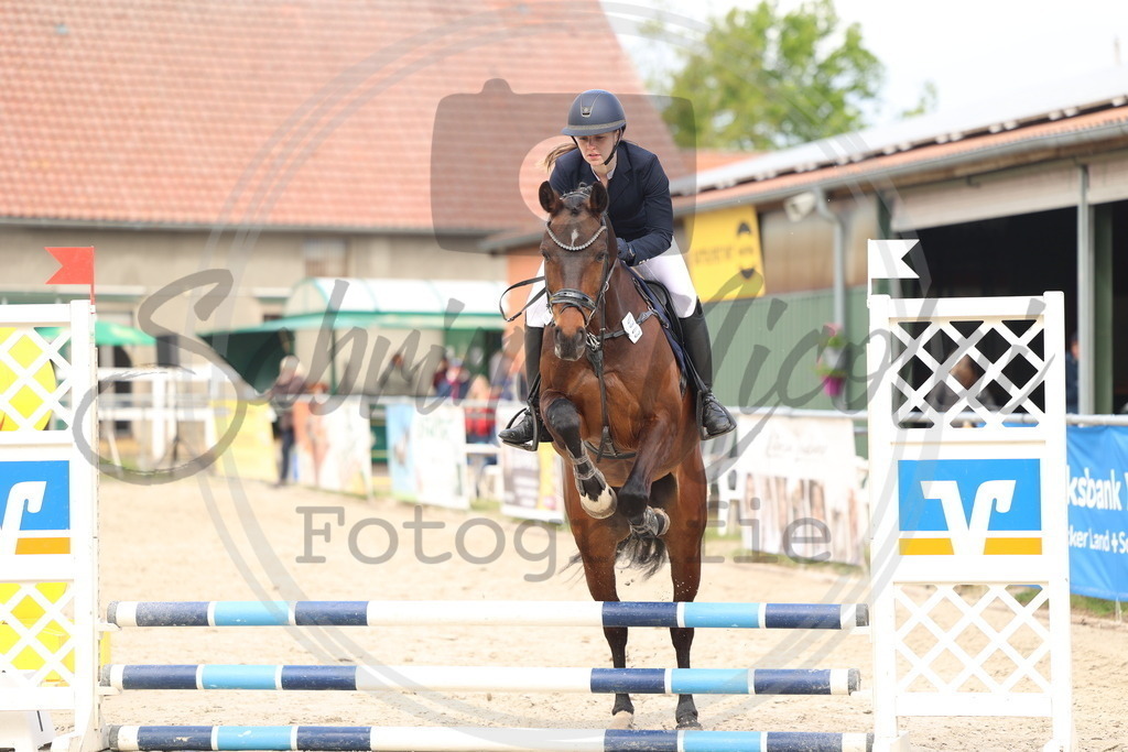 994A8712 | sabrinanicolaifotografie - Realisiert mit Pictrs.com