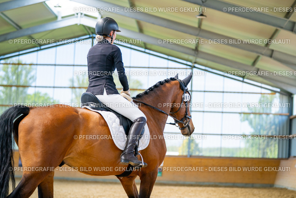 DSC09294 | Pferdegrafie