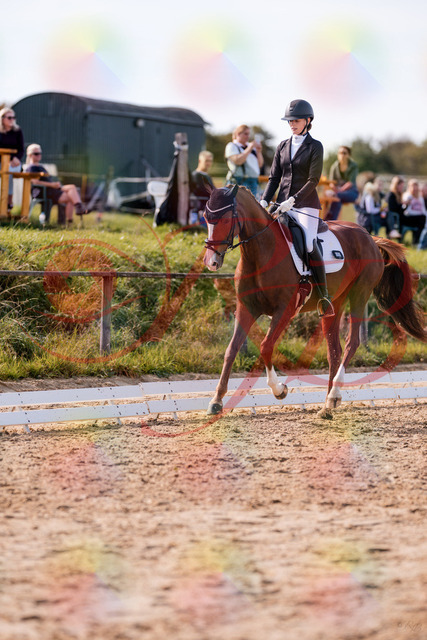 2026_10_03_Siefer-Hof_133124_Z81_85190660 | Professionelle Reitsport-, Turnier- und Eventfotografie von Robert Broda. Galerien mit ausgewählten und bearbeiteten Bildern direkt online ansehen und bestellen.
