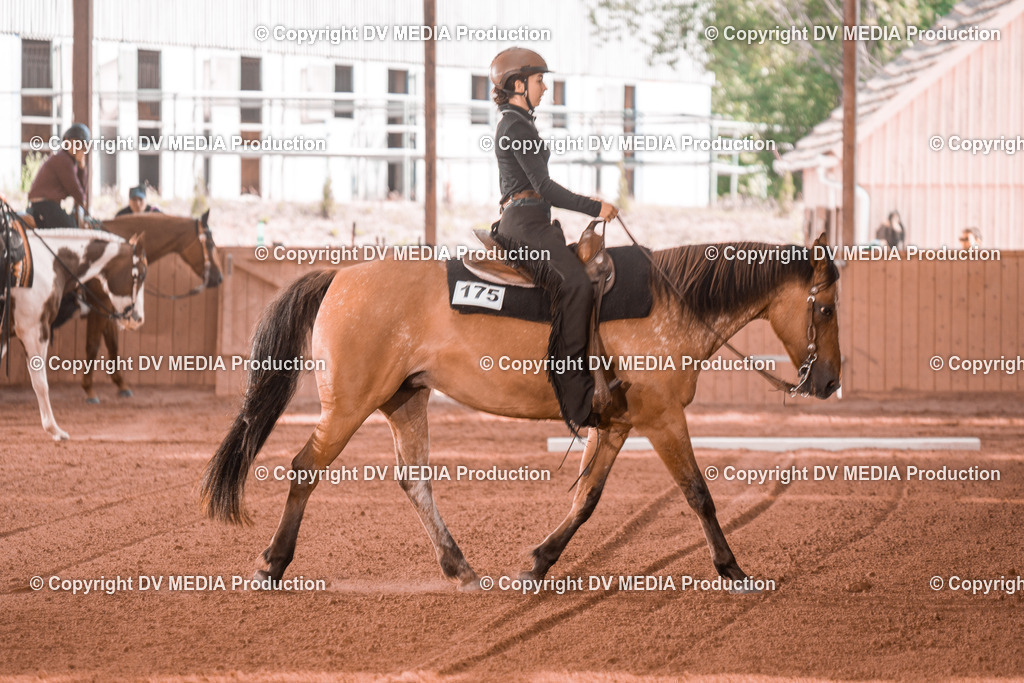 NE300257 | dv-media-shop - Realisiert mit Pictrs.com