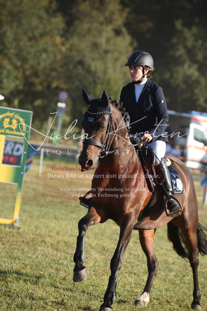 DSC_4916 | Pferde- und Turnierfotografie in Westsachsen. Pferdeportraits, Auftragszeichnungen und intuitive Kunst.