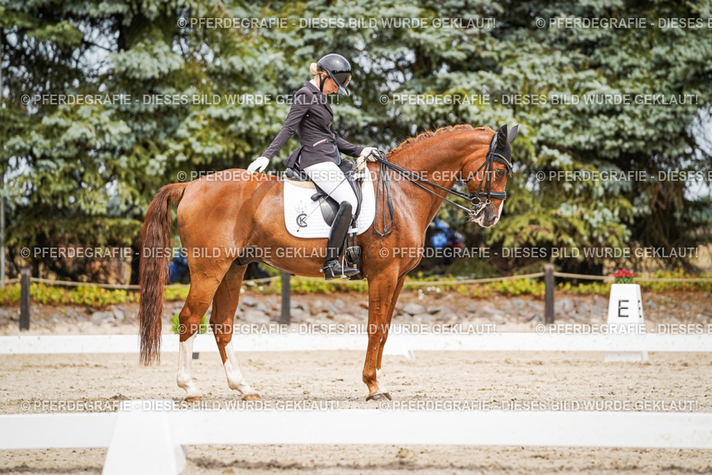 DSC05239 | Pferdegrafie