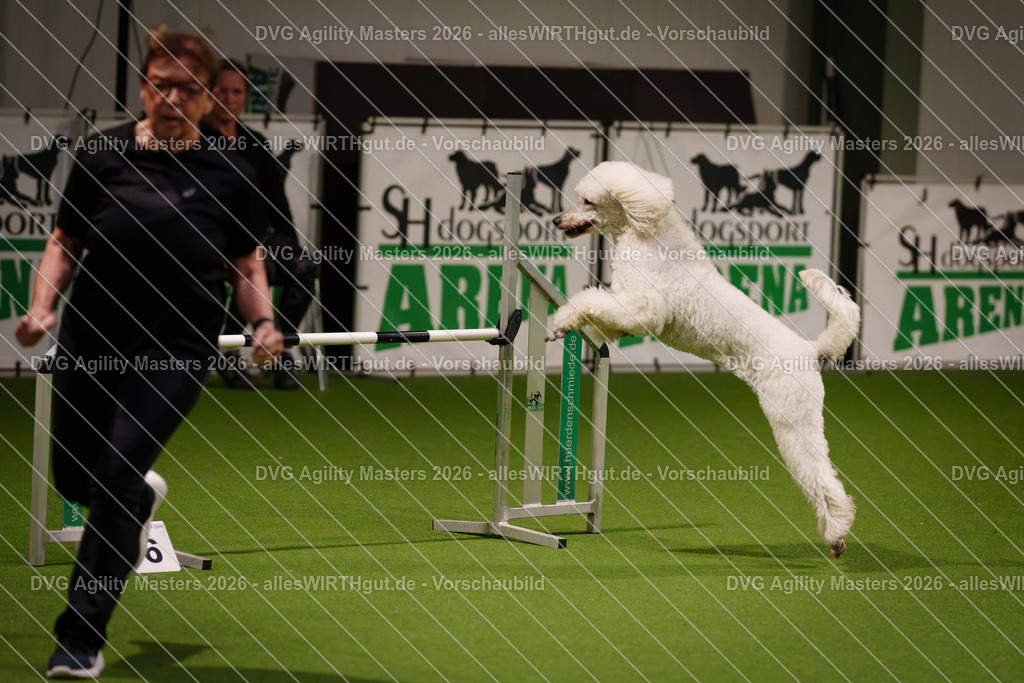 allesWIRTHgut_Tierfotografie-DVG_Agility_Masters_2026-07_36-7R507442 | Professionelle Tierfotografie in Mönchengladbach von Daniel Wirth (allesWIRTHgut). Liebevolle & natürliche Bilder von Hunden & Katzen für unvergessliche Erinnerungen.