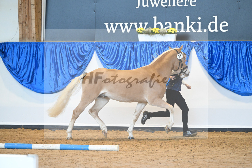 Kat-Nr. 27 nn v. Steingold_Stecher_60220805 | hf-fotografie - Realisiert mit Pictrs.com