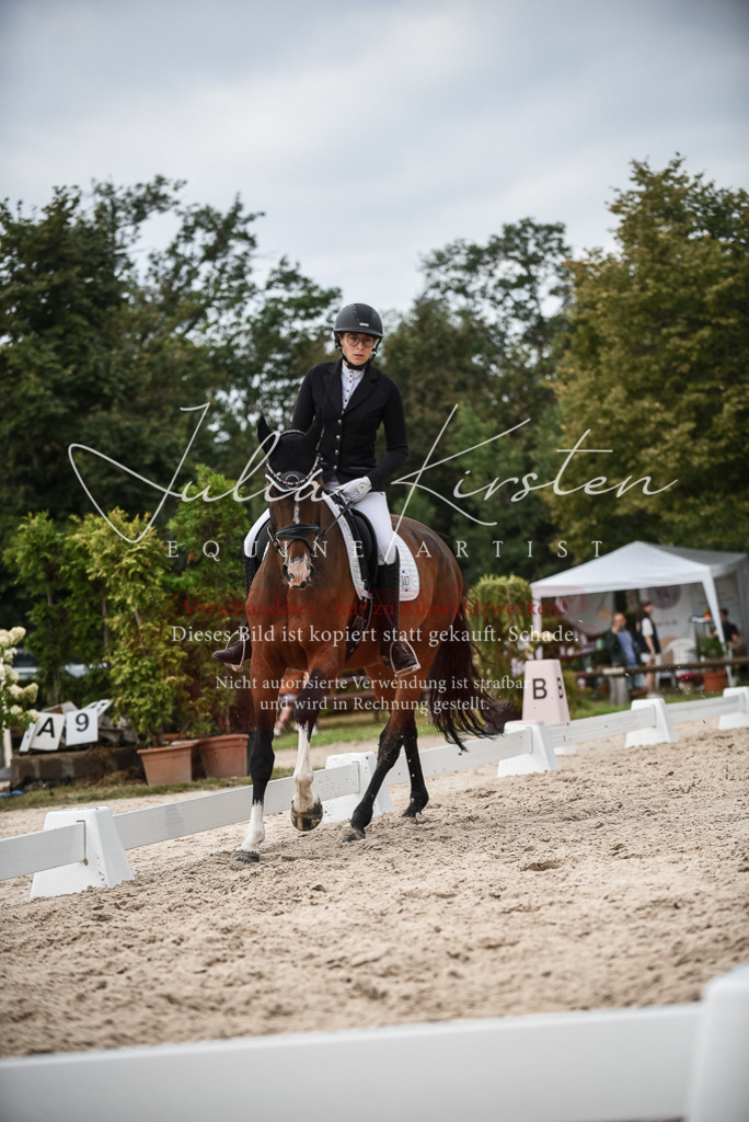 DSC_8566 | Pferde- und Turnierfotografie in Westsachsen. Pferdeportraits, Auftragszeichnungen und intuitive Kunst.
