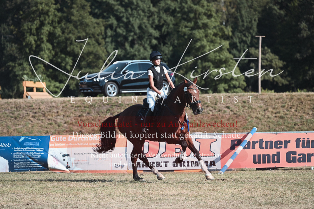 DSC_8897-2 | Pferde- und Turnierfotografie in Westsachsen. Pferdeportraits, Auftragszeichnungen und intuitive Kunst.