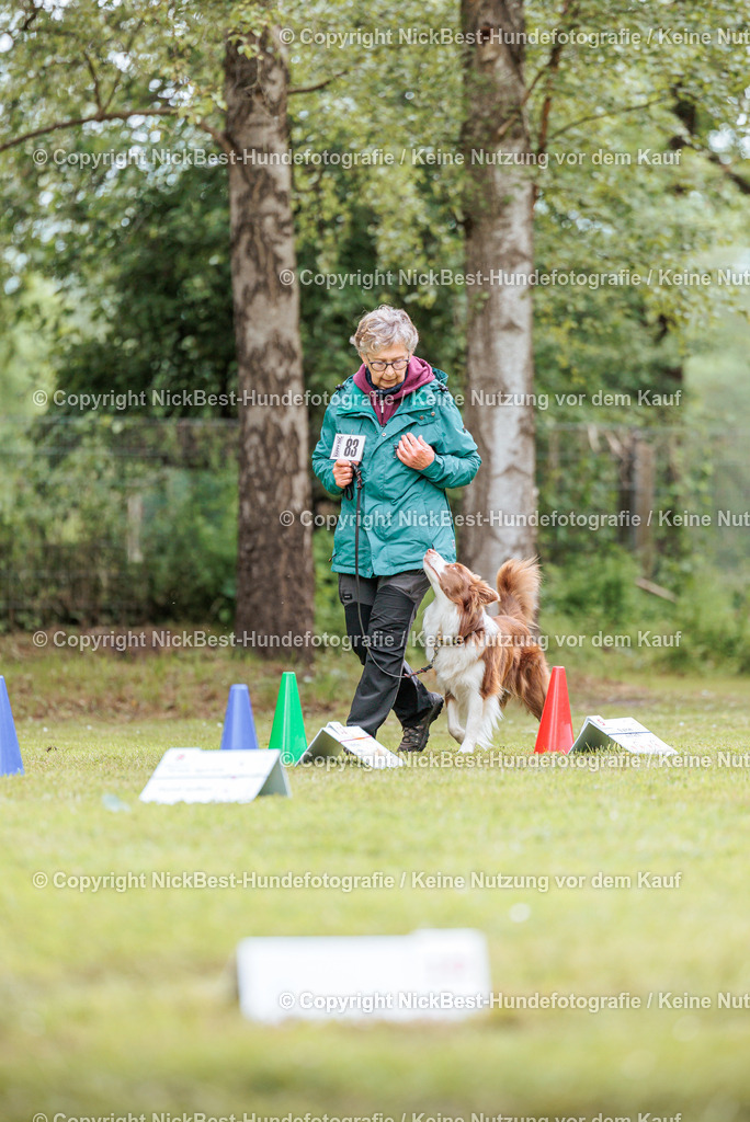 RO-Blumenthal-2026-Nickbest-Hundefotografie-5558 | Dein Hund! Dein Moment! Deine Erinnerungen! Hundefotografie in Bremen Blumenthal. Ich fange die besonderen Momente deines Vierbeiners ein – ob Indoor mit Blitzanlage oder in der freien Natur. Sicher dir dein Moment und dein Termin für eure Erinnerungen.