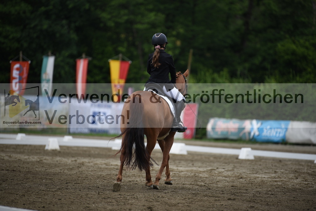 DSC_7847 | equestrian-live-com