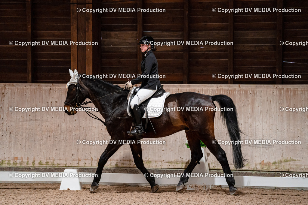 Dressur Tag 2-394 | dv-media-shop - Realisiert mit Pictrs.com