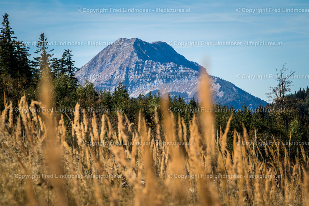 Otscher  (11) | Fotos und Fotoprodukte - Realisiert mit Pictrs.com