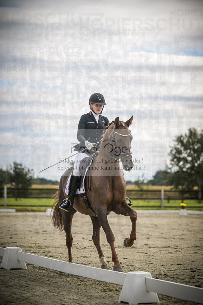 DOS_1871 | Entdecke hochwertige Reitturnierfotos von Foto Oger. Professionell, emotional und authentisch – jetzt Lieblingsmomente im Shop bestellen.Deutschlandweite Turnierfotografie. - Realisiert mit Pictrs.com