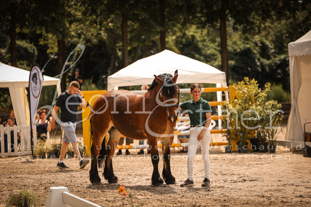 2.Sa00094 | Leoni Ertmer Photography - Realisiert mit Pictrs.com