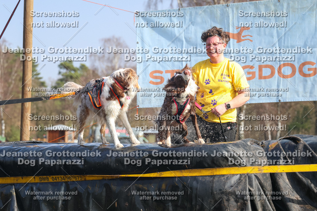 Dog Paparazzi - Strongdog North Mrz26-2393 | Dog Paparazzi Jeanette Grottendiek Fotografie & Videografie - Realisiert mit Pictrs.com