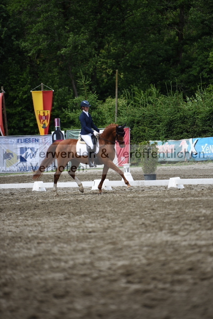 DSC_0979 | equestrian-live-com