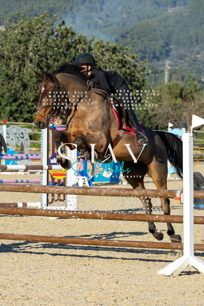 IMG_2249 | s-jay-photography - Realisiert mit Pictrs.com