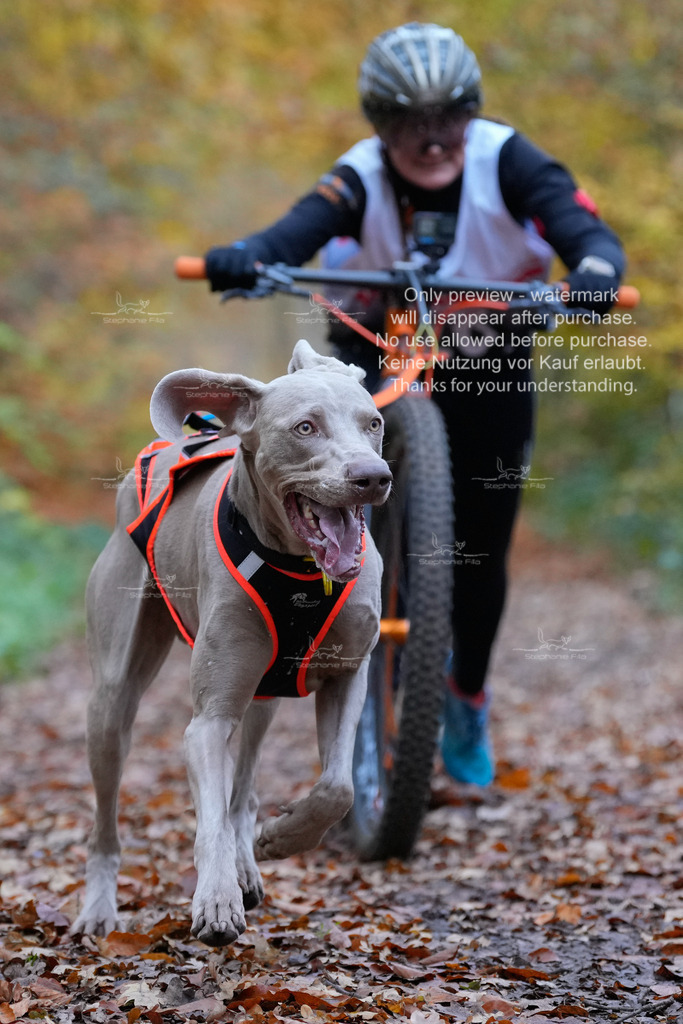 AusschnitteSo-74 | stephaniefillaphotographie - Realisiert mit Pictrs.com