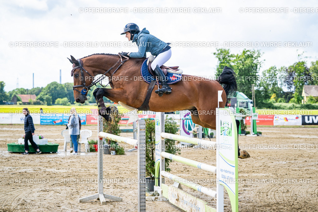 DSC04936 | Pferdegrafie