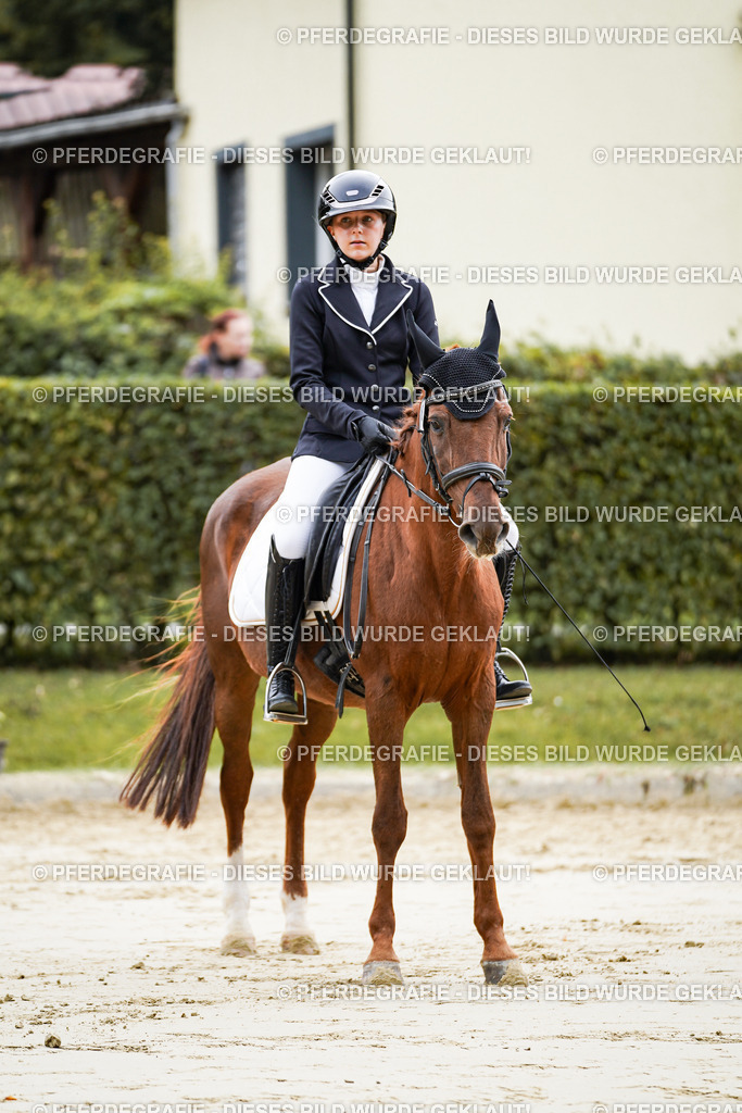 DSC04945 | Pferdegrafie