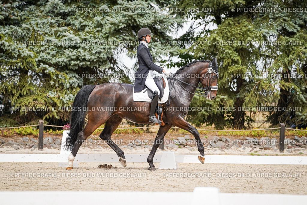 DSC06711 | Pferdegrafie