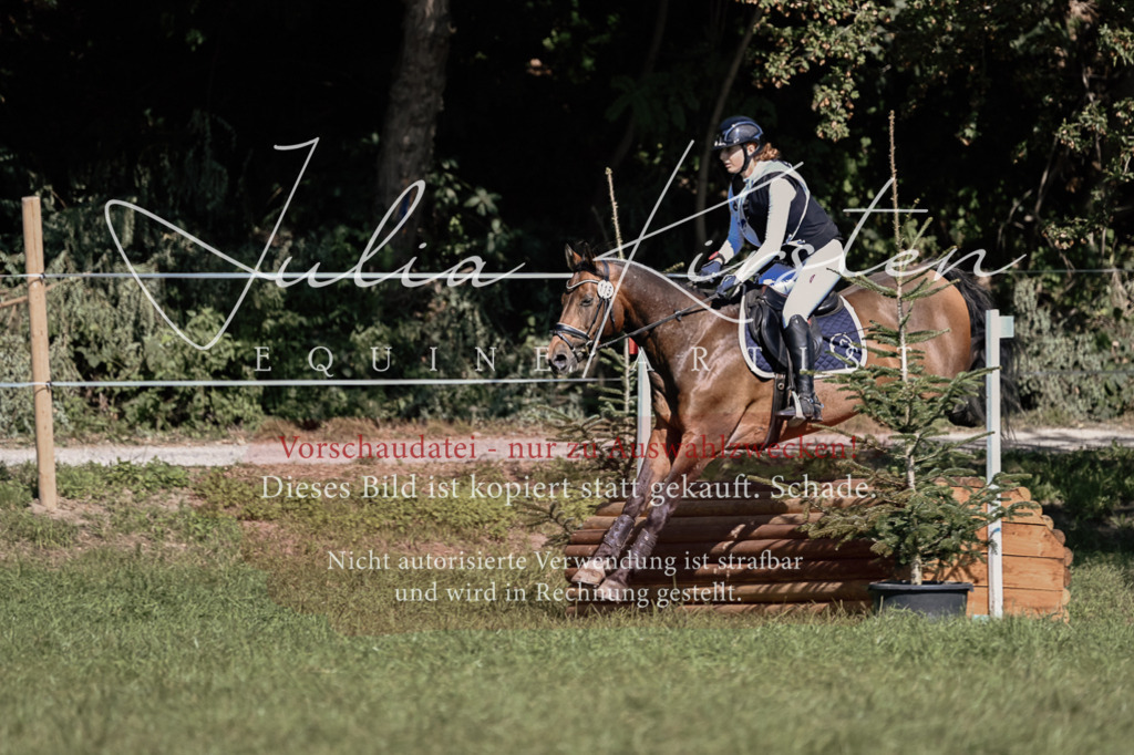 DSC_1290 | Pferde- und Turnierfotografie in Westsachsen. Pferdeportraits, Auftragszeichnungen und intuitive Kunst.