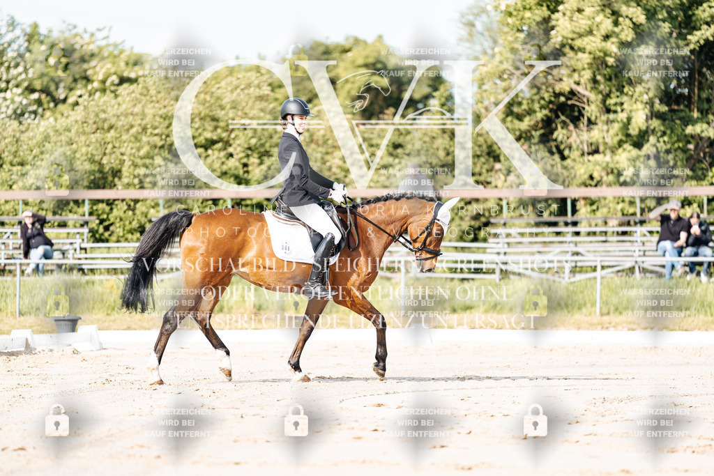 CK909999 | Turnierfotografie Pferdefotografie Trier Rheinland-Pfalz Pferdesport Reitsport Tierfotografie Sportfotografie Pferdevideo Pferdevideografie Equestrianvideography equestrianphotography  - Realisiert mit Pictrs.com