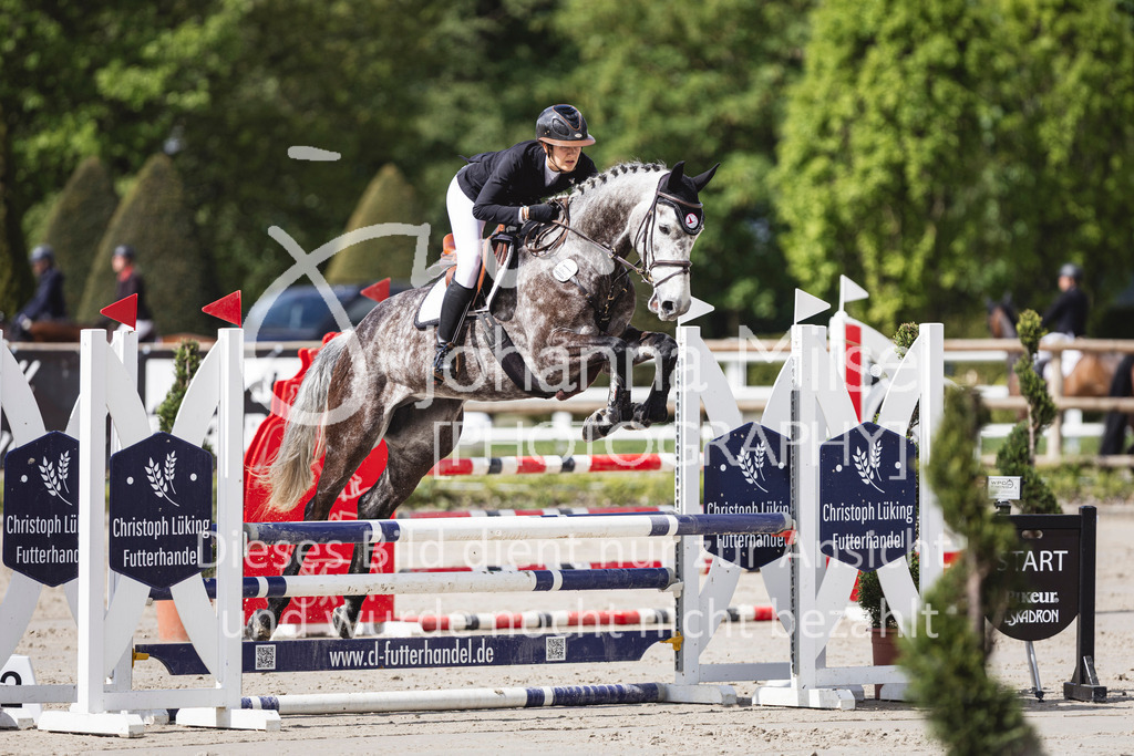 260508_PfSpTa_8_SprPf-A2-801 | Deine schönsten Turniermomente als professionelle Fotos! Entdecke hochwertige Pferdesport-Fotografie im Online-Shop. Jetzt Fotos finden & bestellen!