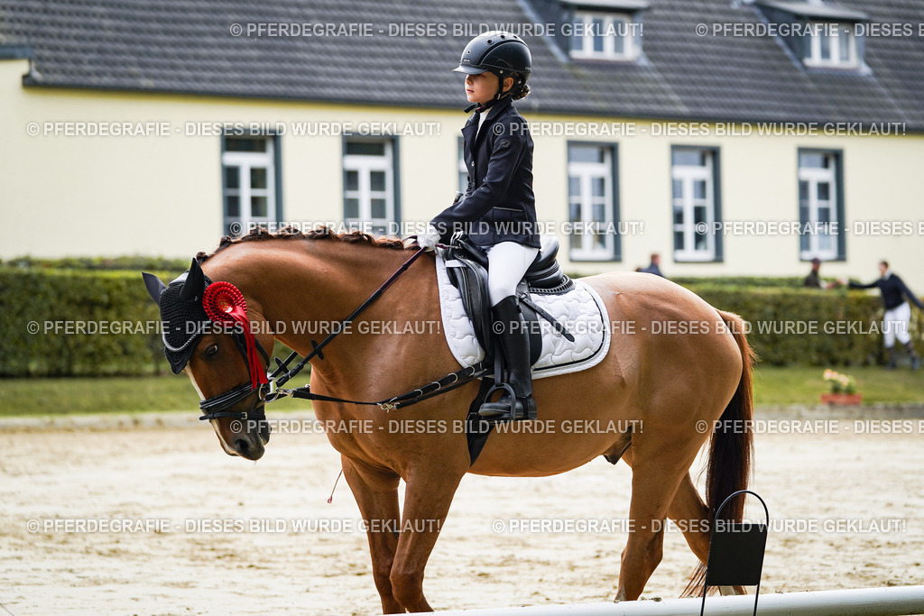 DSC05830 | Pferdegrafie