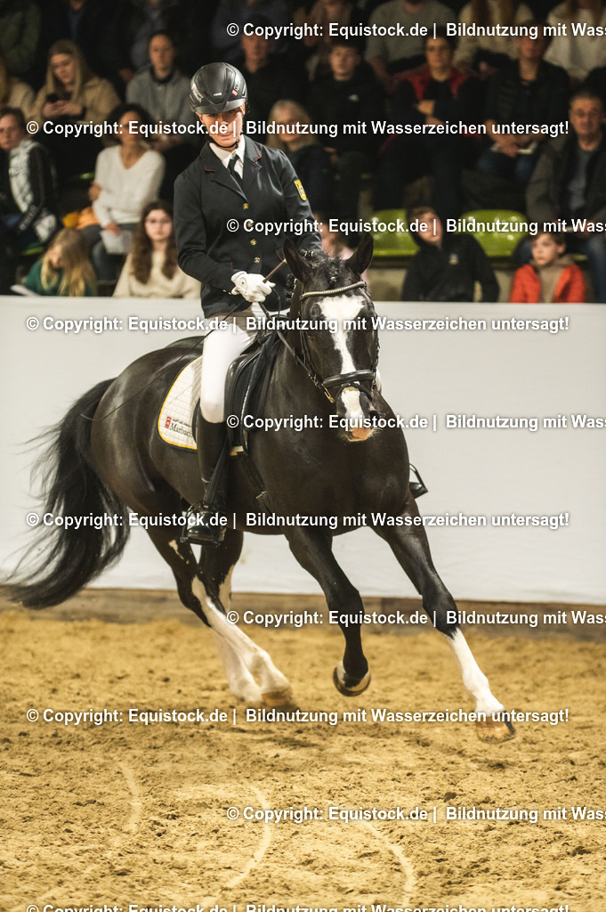 20240302_Hengstvorstellung_Marbach_TOMsPiC_0691-2 | equistock