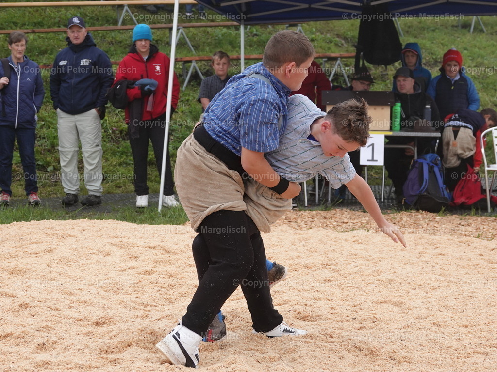 DSC07824 | Schwingen - Realisiert mit Pictrs.com
