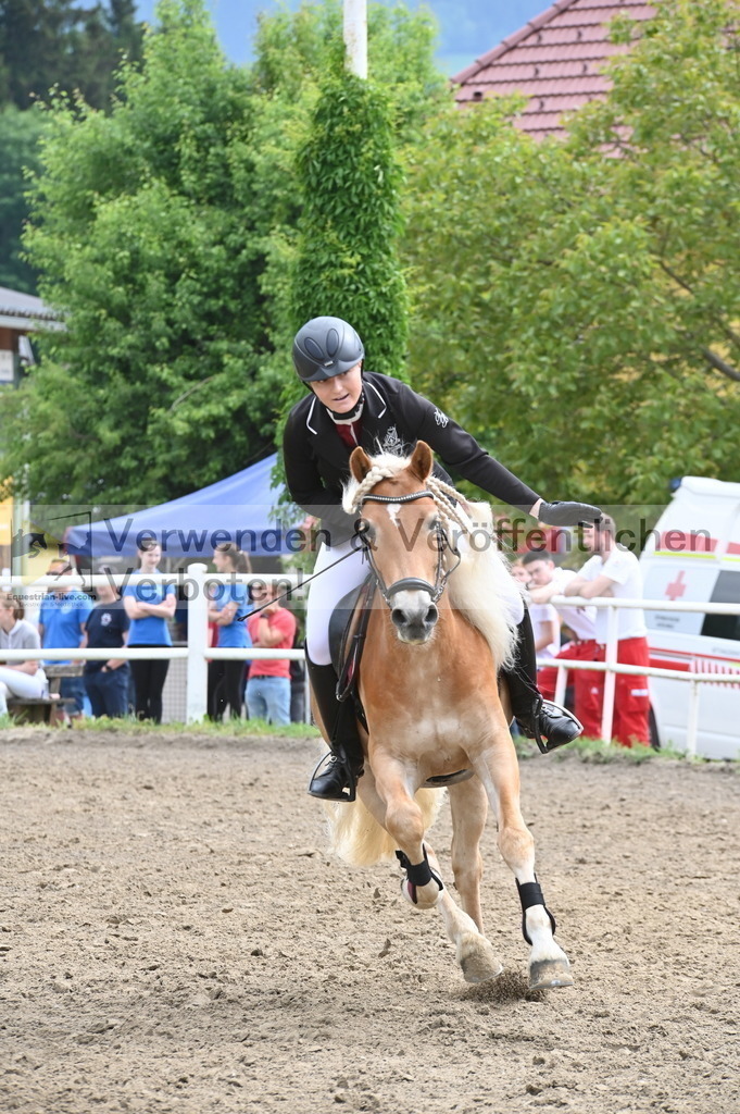 DSC_8046 | equestrian-live-com