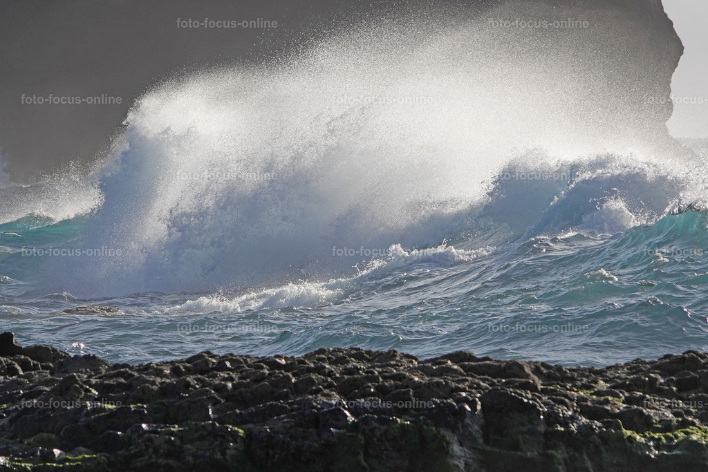 waves | Elemental power of the waves