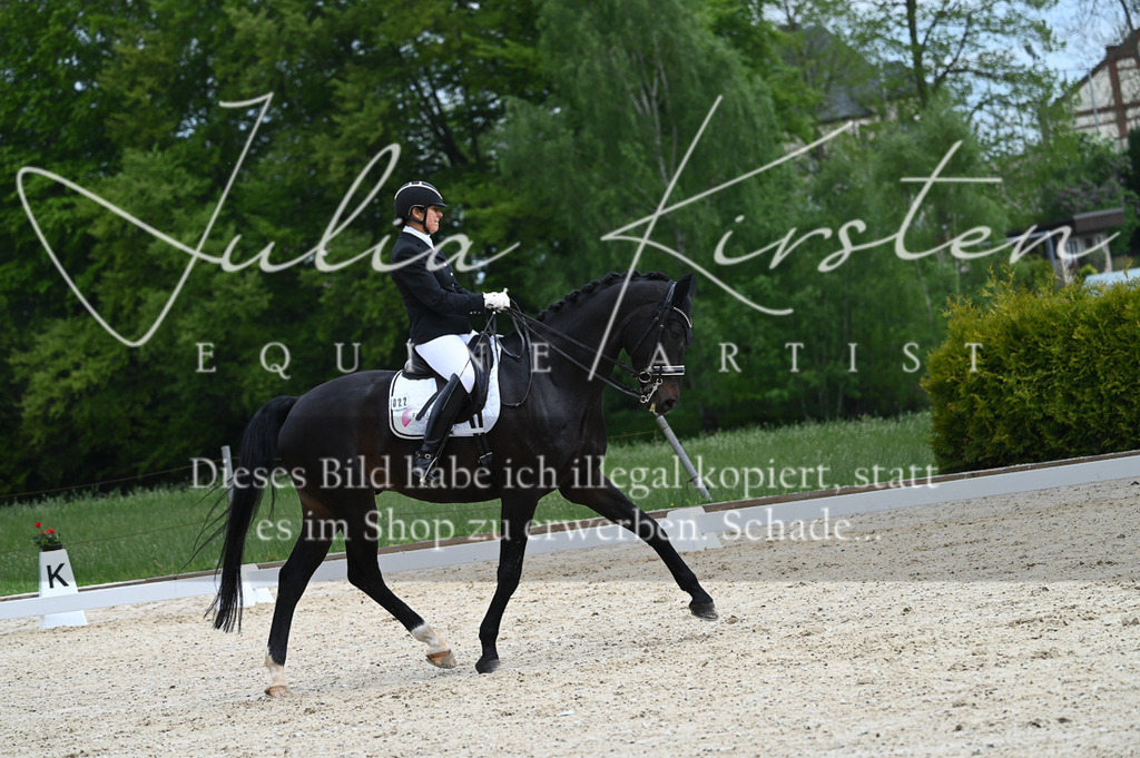 20230512_JK-Röhrsdorf-05-099 | Pferde- und Turnierfotografie in Westsachsen. Pferdeportraits, Auftragszeichnungen und intuitive Kunst.