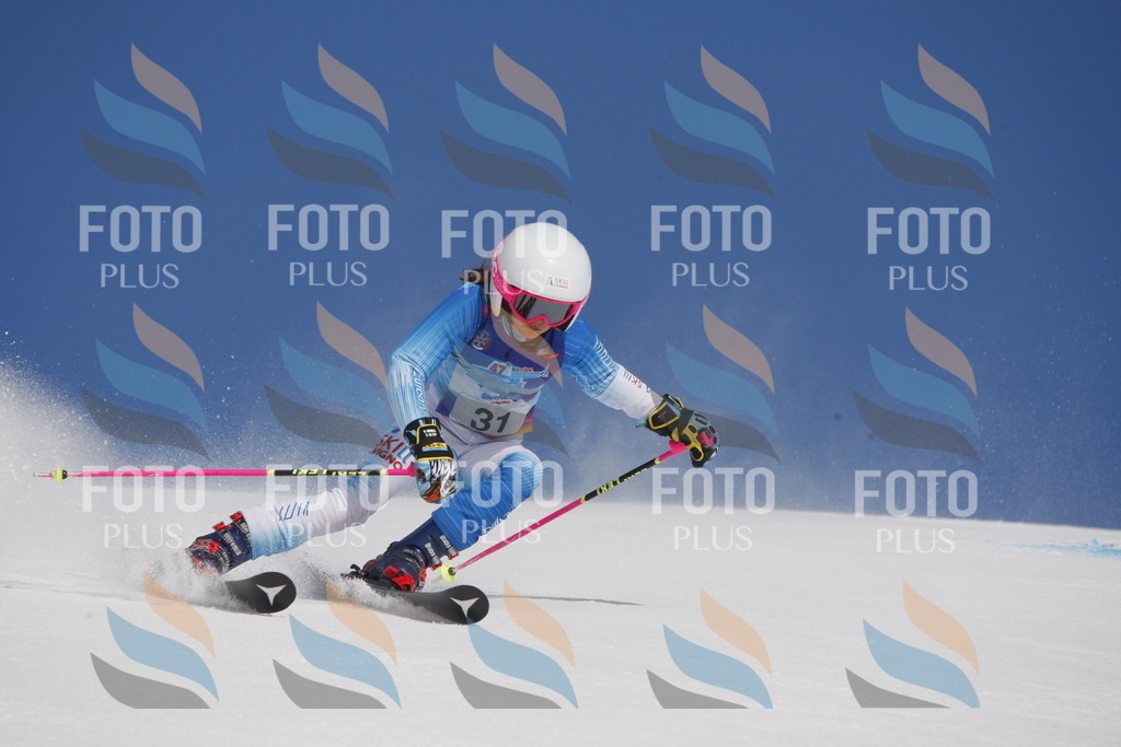 _W1G0415 | holidayphoto