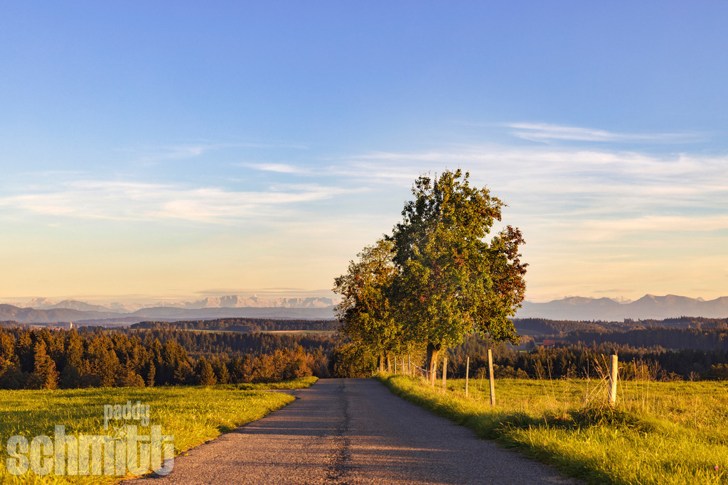 Das Tor zum Allgäu | Das Tor zum Allgäu: Eine Landstraße führt geradeaus durch die Landschaft, während sich dahinter die Berge am Horizont zeigen. Ein schöner Blick auf die Allgäuer Bergwelt. - Realisiert mit Pictrs.com