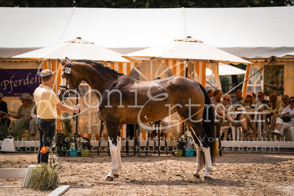 2. Fr00155 | Leoni Ertmer Photography - Realisiert mit Pictrs.com